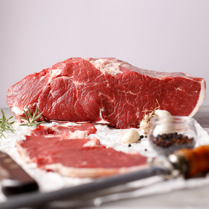 FESA ESTERNA DI SCOTTONA