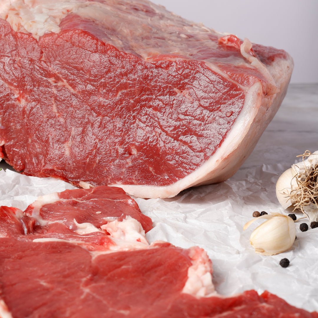 FESA ESTERNA DI SCOTTONA