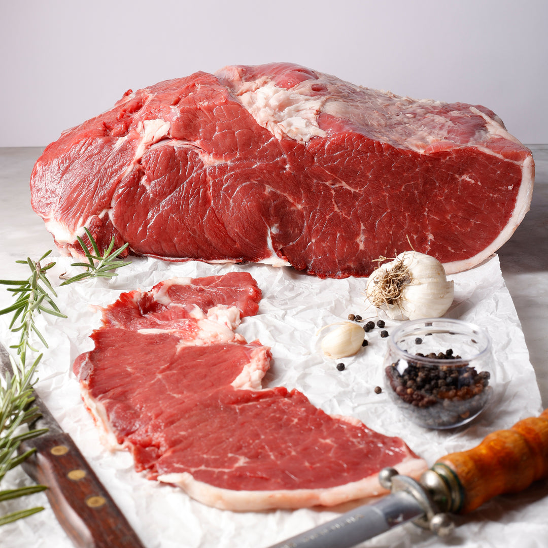 FESA ESTERNA DI SCOTTONA