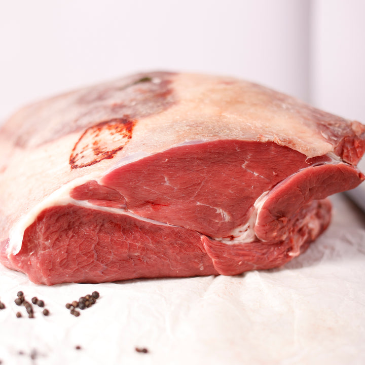 PALETTINA DI SCOTTONA