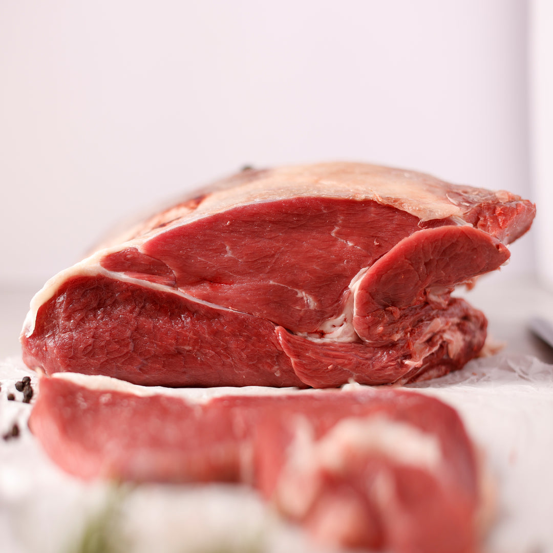 PALETTINA DI SCOTTONA